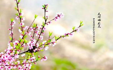 校园的春天作文参考7篇
