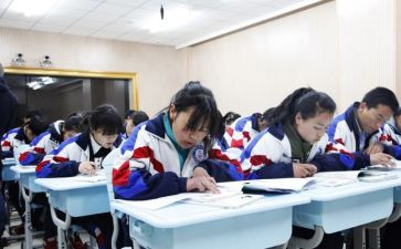 个人工作总结初一5篇