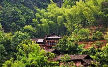 镇审计村工作总结8篇