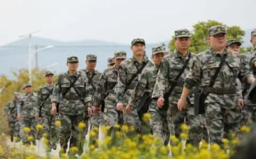 实习带队工作总结8篇