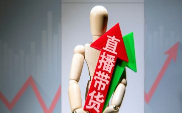 网红带货合作合同6篇