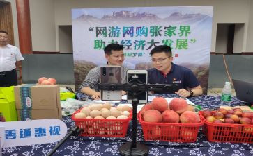 带货直播合同8篇