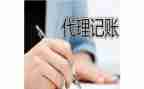 2024代账会计年度总结精选8篇