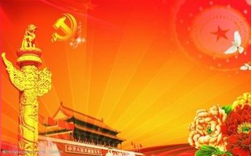 党是个人总结5篇
