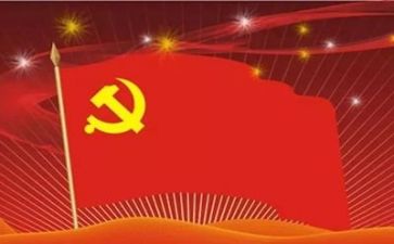 支部党日主题活动总结6篇