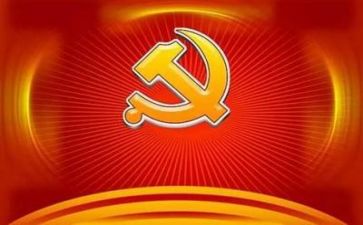 党日活动总结800字7篇