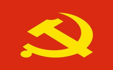 党主题日活动个人总结5篇