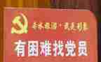 2024年度党员年度总结7篇
