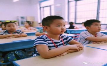 导师带徒活动总结5篇