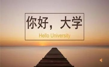 大学生学年个人总结范文5篇