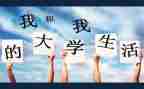参加大学活动的总结5篇