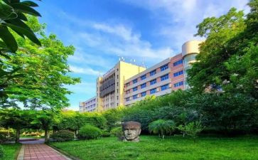 大专要实习的个人总结7篇