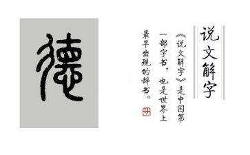德育少先队工作总结2022年7篇
