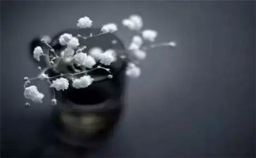销售工作月总结得与失范文7篇