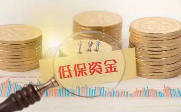 低保员个人总结范文6篇