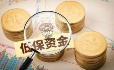 低保个人总结7篇