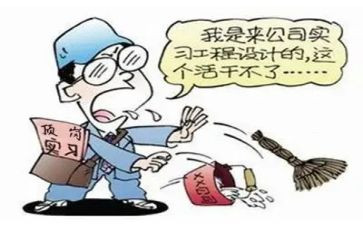 大学生顶岗个人总结8篇
