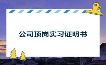 顶岗实习个个人总结优质7篇