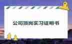 医学生顶岗实习报告总结7篇