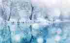 冬季除雪工作总结5篇