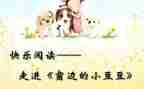 装豆豆小班教案5篇