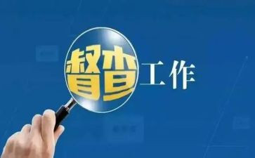督查室年度总结6篇