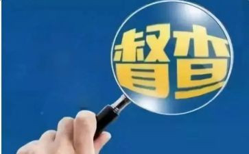 2023大督查工作总结6篇