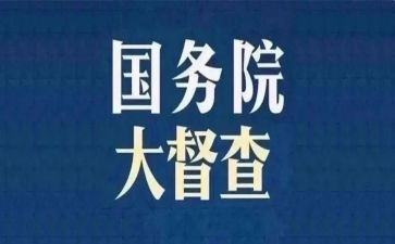 督查科工作总结7篇