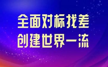 保安公司对标工作总结优质8篇