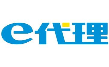 e代理工作总结7篇
