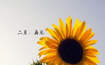 二月度工作总结及计划最新8篇
