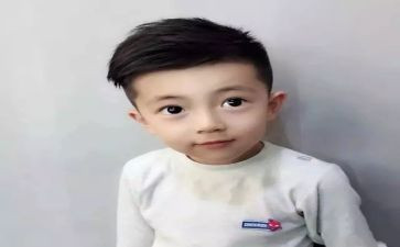 给我的儿子读后感7篇