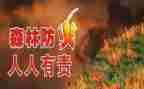 2022镇防火工作总结5篇