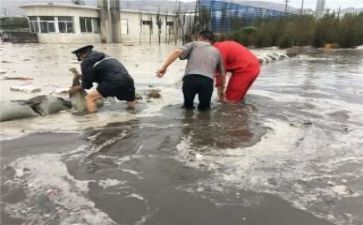 防汛工作总结模板8篇