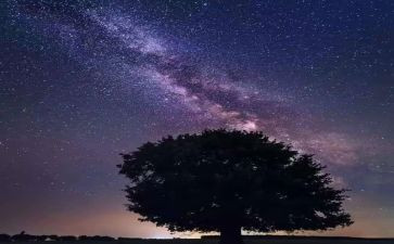 《繁星春水》的读书心得8篇