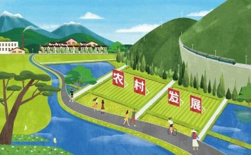 教师专业发展个人总结优质5篇