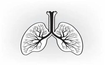 肺功能工作总结7篇
