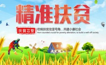 扶贫是性工作总结8篇