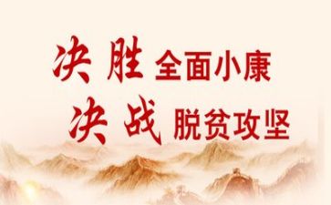 2023扶贫年度个人总结8篇