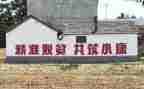 扶贫工作总结报告8篇