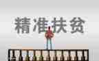 扶贫工作月总结及计划5篇