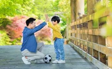 父与子读书活动总结推荐7篇