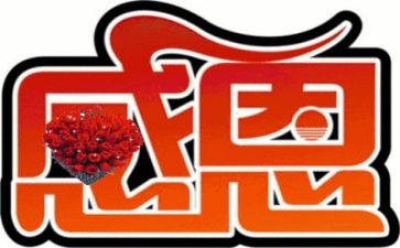 感恩节活活动总结模板8篇