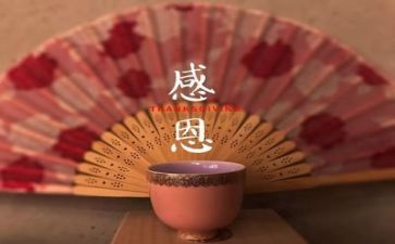 感恩活动的总结5篇