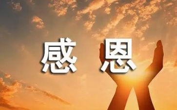 有关感恩的作文800字8篇