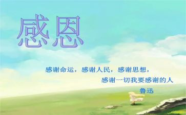 感恩心活动总结5篇
