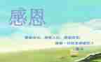 感恩心活动总结5篇