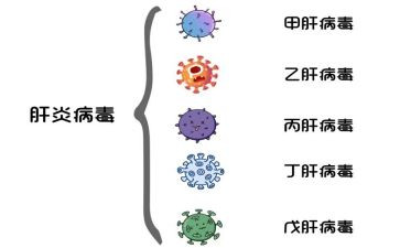 肝炎活动总结6篇