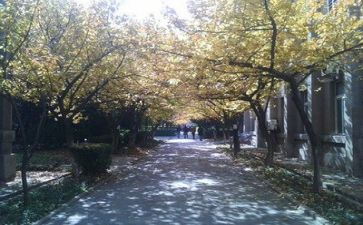 高校教师总结参考7篇
