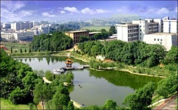 高校教师年度述职报告5篇